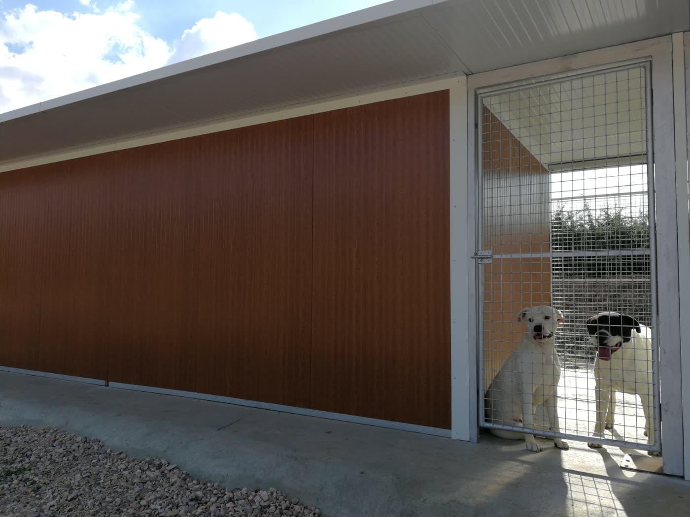 Zona de boxes con patio
